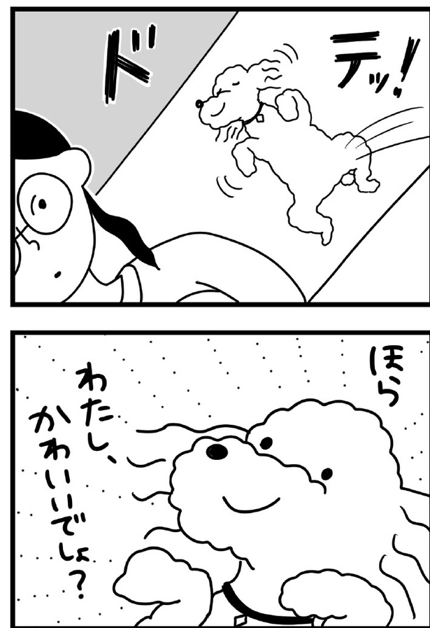 「おはよう、サンテ」9話(02)