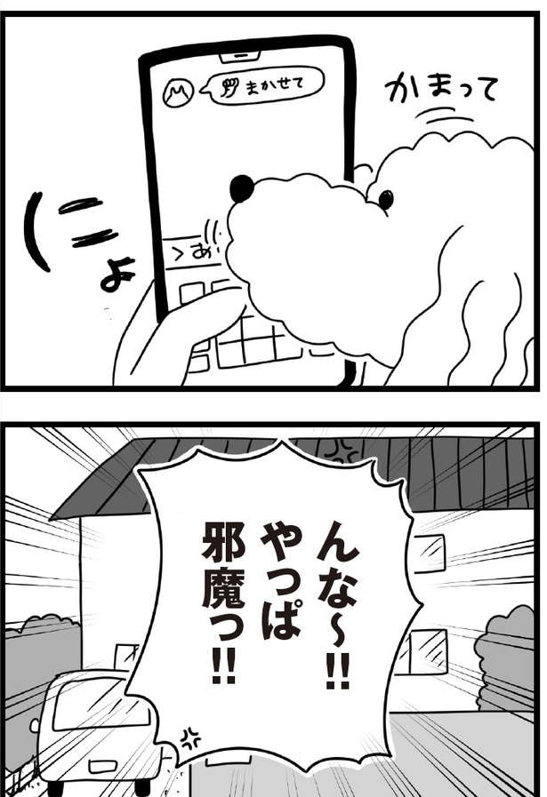 「おはよう、サンテ」9話(13)