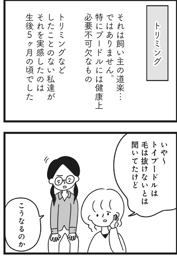 「おはよう、サンテ」10話(01)