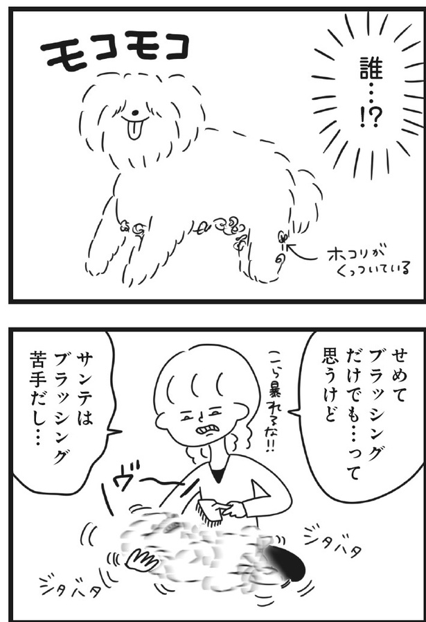 「おはよう、サンテ」10話(02)