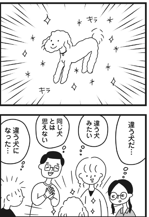 「おはよう、サンテ」10話(04)
