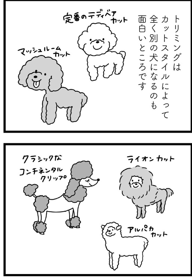 「おはよう、サンテ」10話(05)