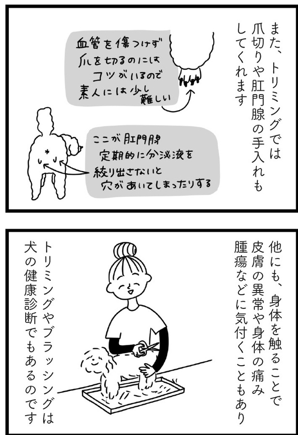 「おはよう、サンテ」10話(06)