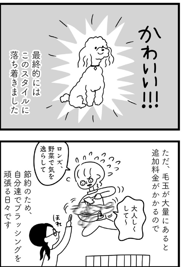 「おはよう、サンテ」10話(08)