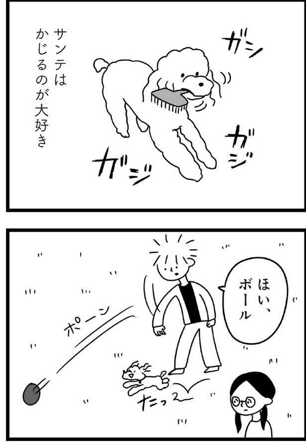 「おはよう、サンテ」10話(09)