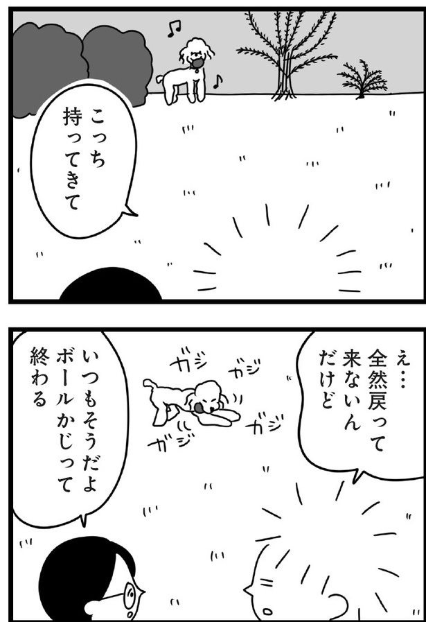 「おはよう、サンテ」10話(10)
