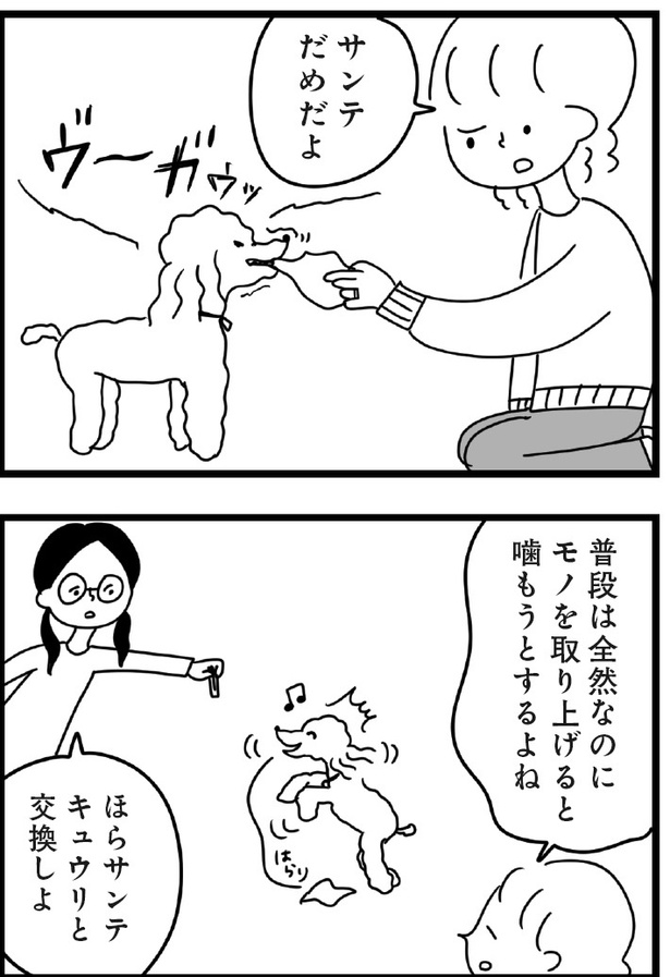 「おはよう、サンテ」10話(12)
