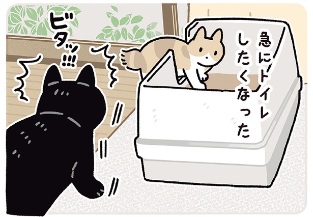 急にトイレしたくなった （C）AKR／KADOKAWA