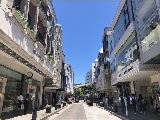 元町ショッピングストリートとピーターラビットが大規模コラボ
