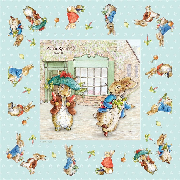 「撥水ふろしき(ブルー)」(2530円)