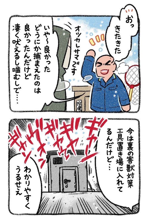 保護犬茶々のお話【第2話】(2) 