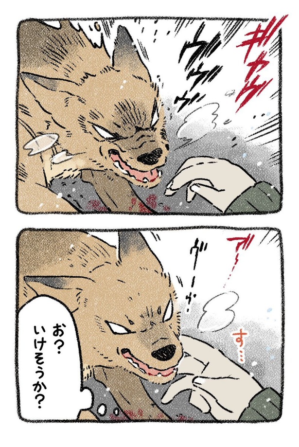 保護犬茶々のお話【第4話】(2) 