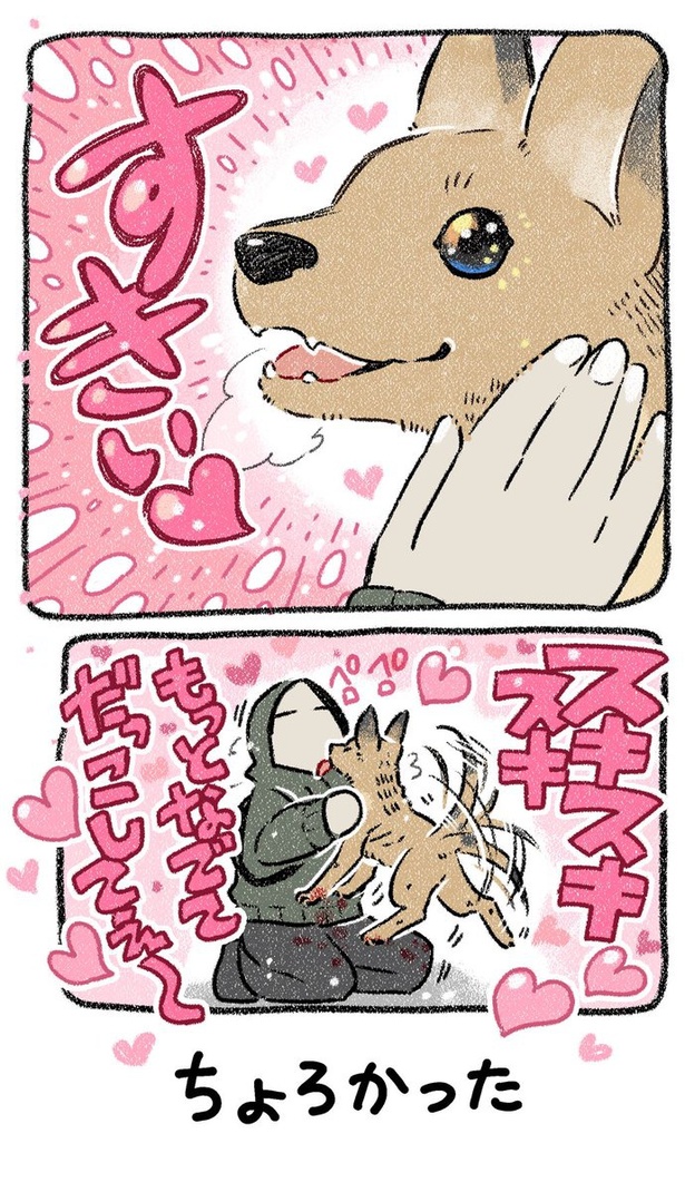保護犬茶々のお話【第4話】(4) 