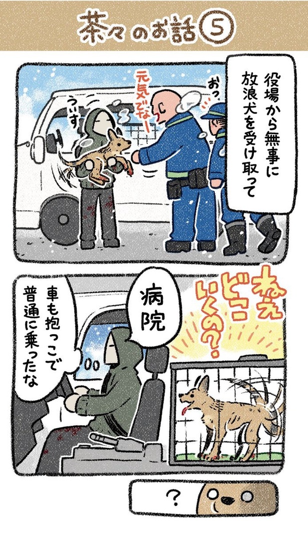 保護犬茶々のお話【第5話】(1) 