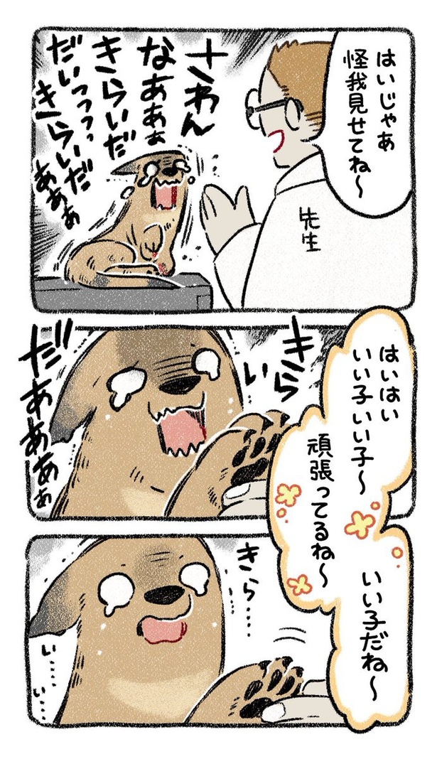 保護犬茶々のお話【第5話】(3) 