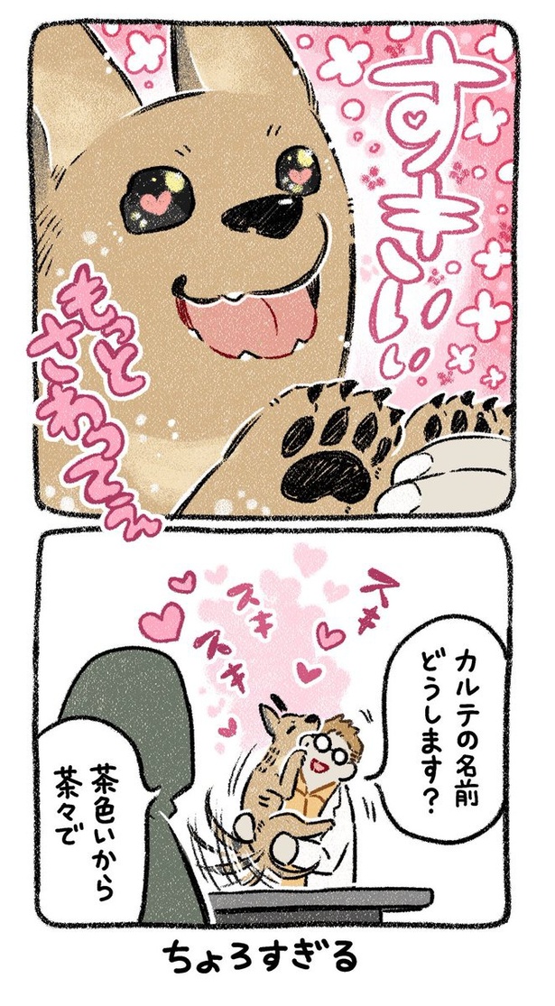 保護犬茶々のお話【第5話】(4) 