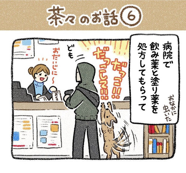 保護犬茶々のお話【第6話】(1) 
