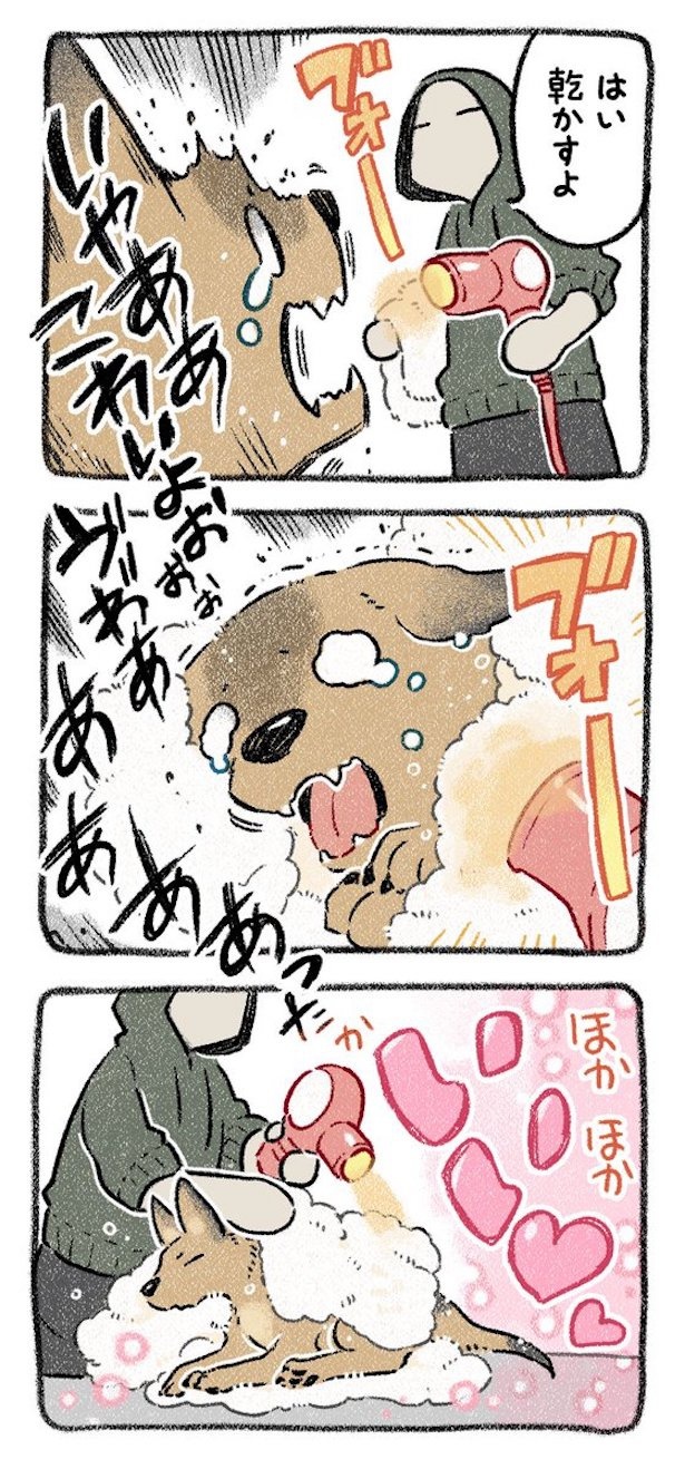 保護犬茶々のお話【第6話】(3) 