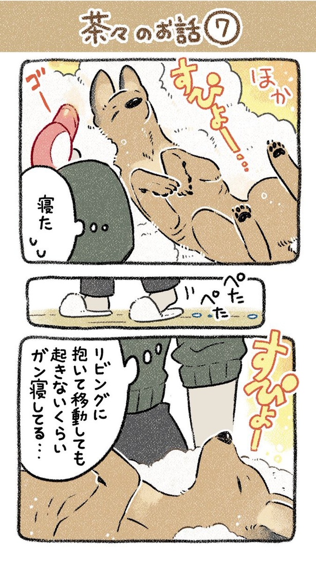 保護犬茶々のお話【第7話】(1) 