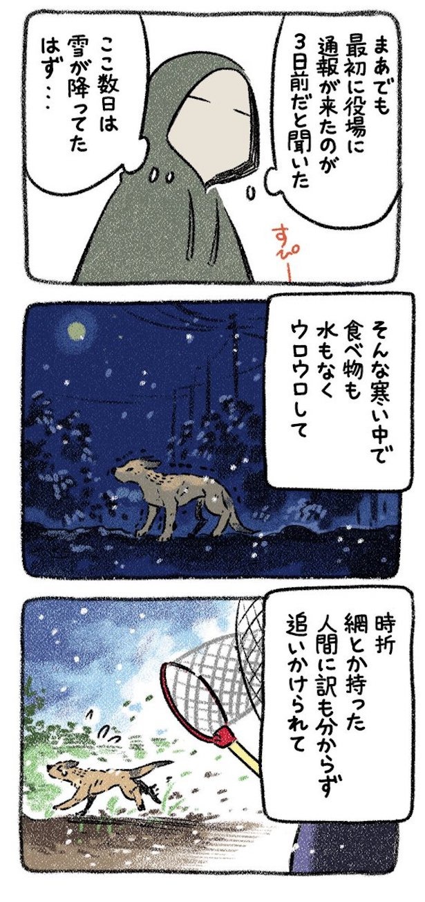 保護犬茶々のお話【第7話】(2) 