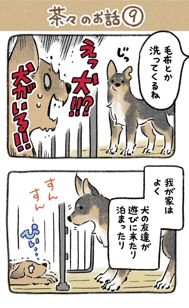 保護犬茶々のお話【第9話】(1) 
