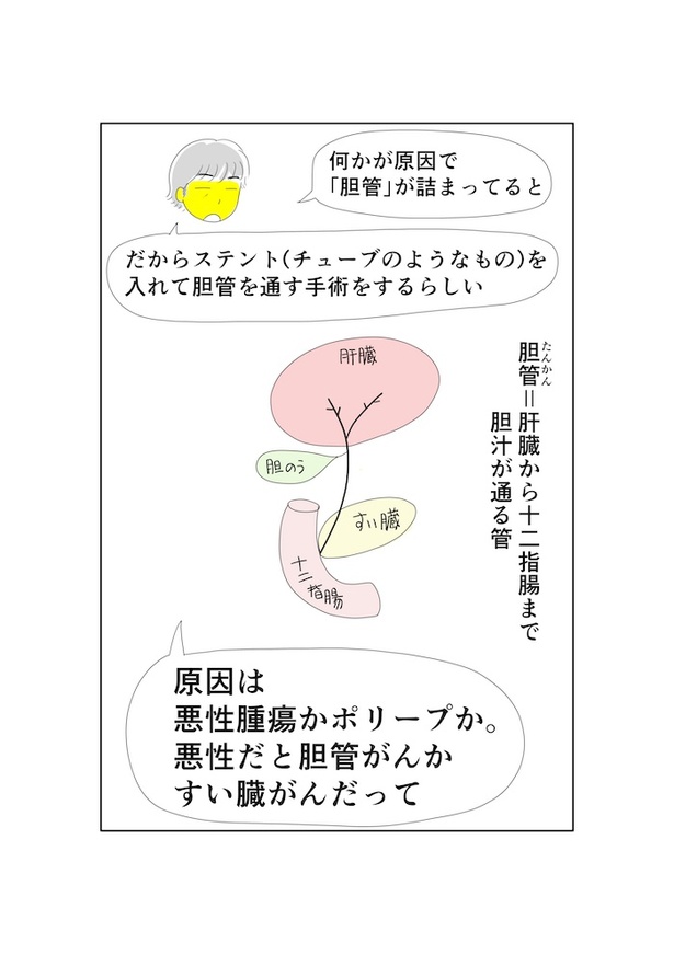 夫のすい臓がんが判明するまで: すい臓がんになった夫との暮らし17