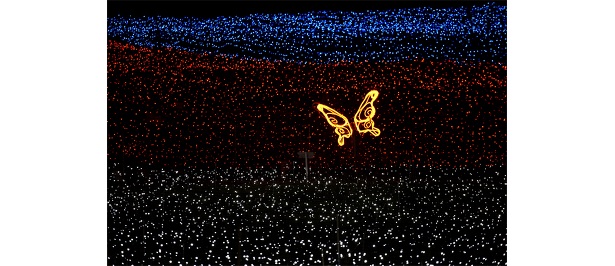 LEDの蝶々が花畑の上を飛ぶ