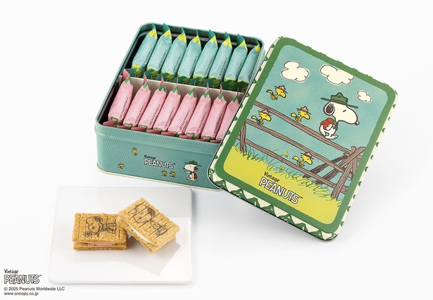 お菓子を食べ終わった後も飾ったり、小物入れにしたり