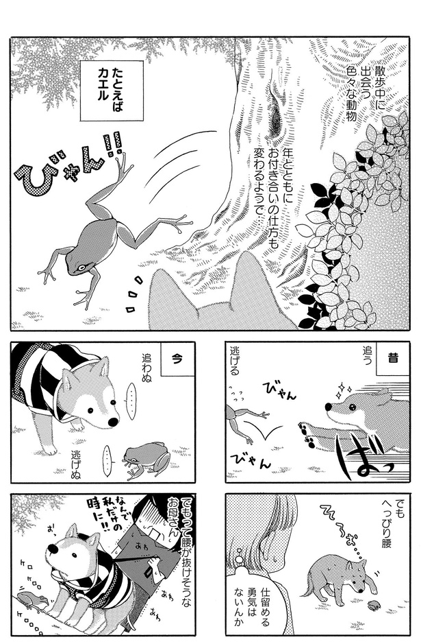 年とともにお付き合いの仕方も変わるようで… （C）コノマエヨミ子／竹書房