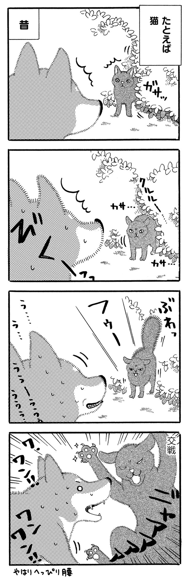 たとえば猫 （C）コノマエヨミ子／竹書房