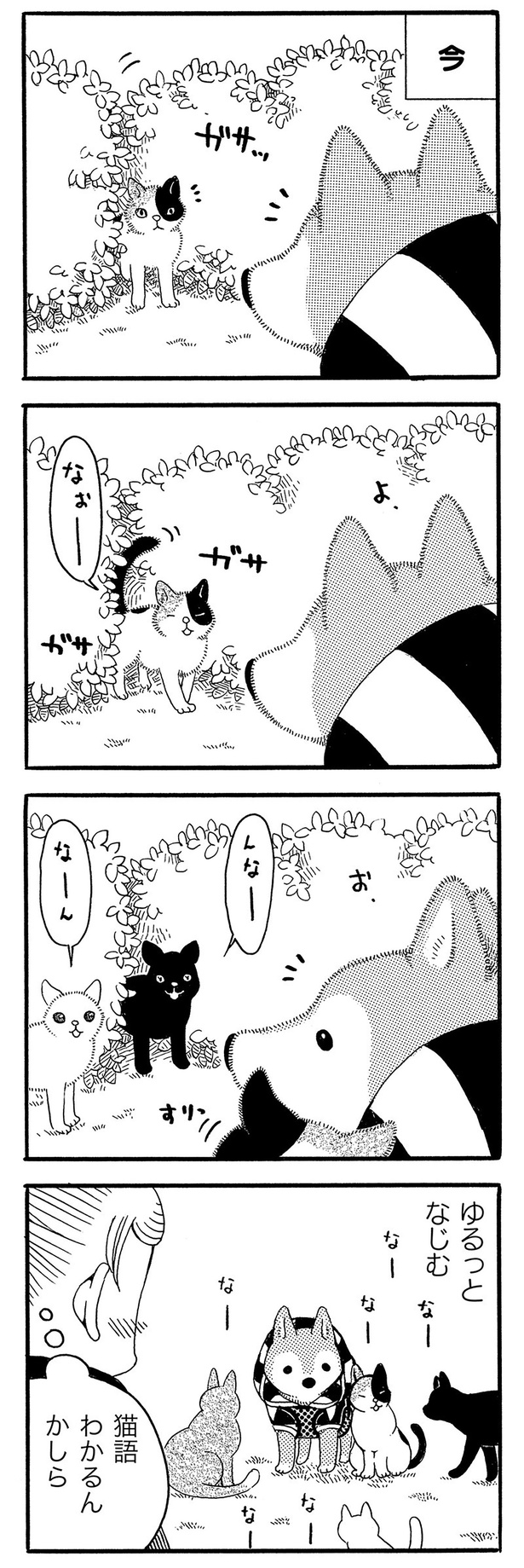 ゆるっとなじむ （C）コノマエヨミ子／竹書房