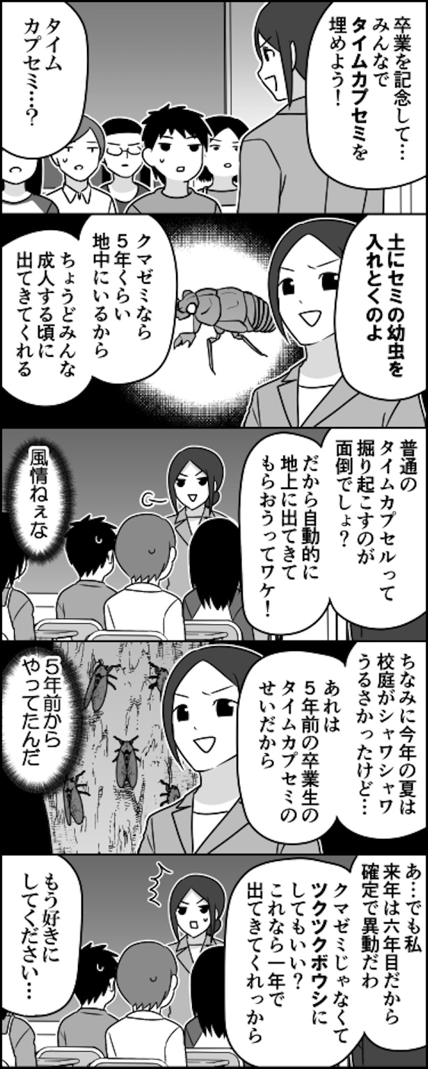 タイムカプセミ