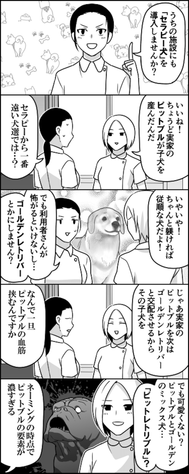 セラピーヌ
