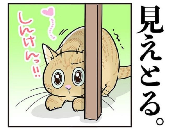 【愛ネコ漫画】「丸見えよ？」3猫それぞれの“笑いを誘う”隠れ姿がかわいすぎる!!【作者に聞いた】