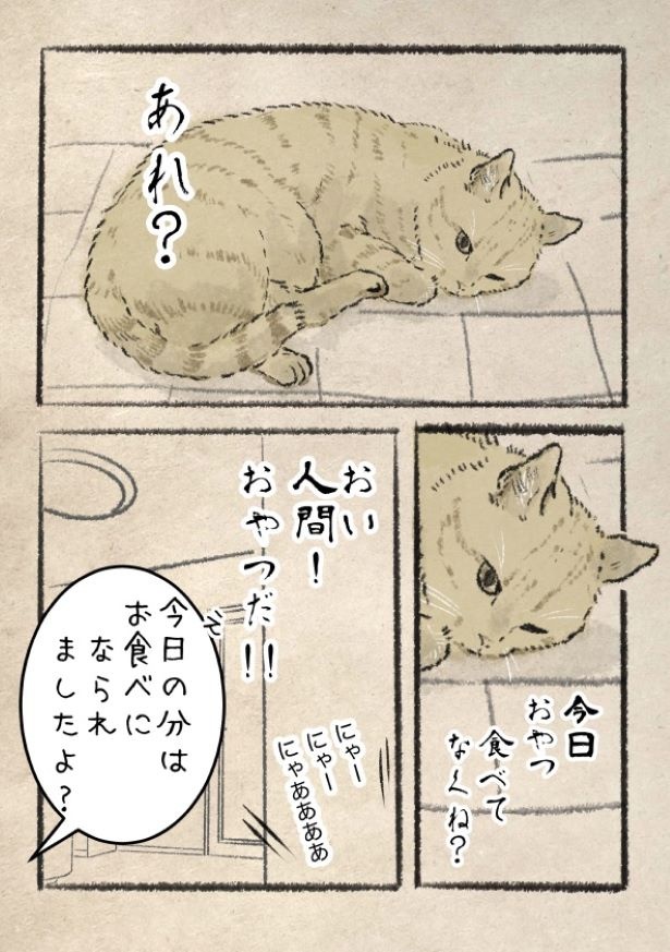 おやつ。(1)