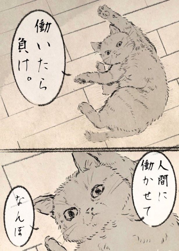 ネコ族のために働け。