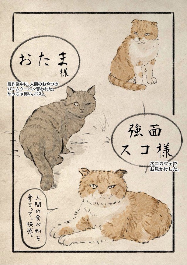 ネコ様日記01