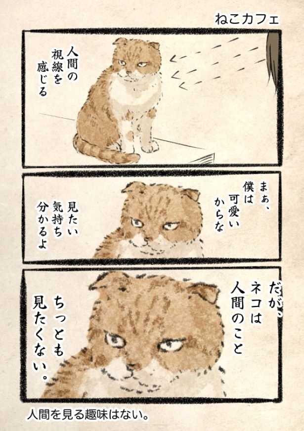 人間が深淵をのぞくとき、深淵もまたこちらをのぞいているのだけど、ネコはちがうよ。