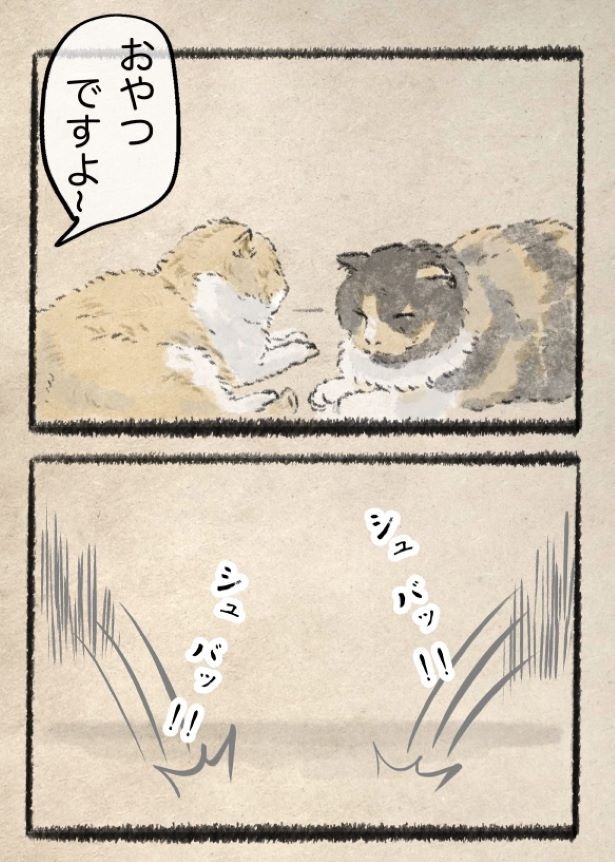 愚か。人間愚か2