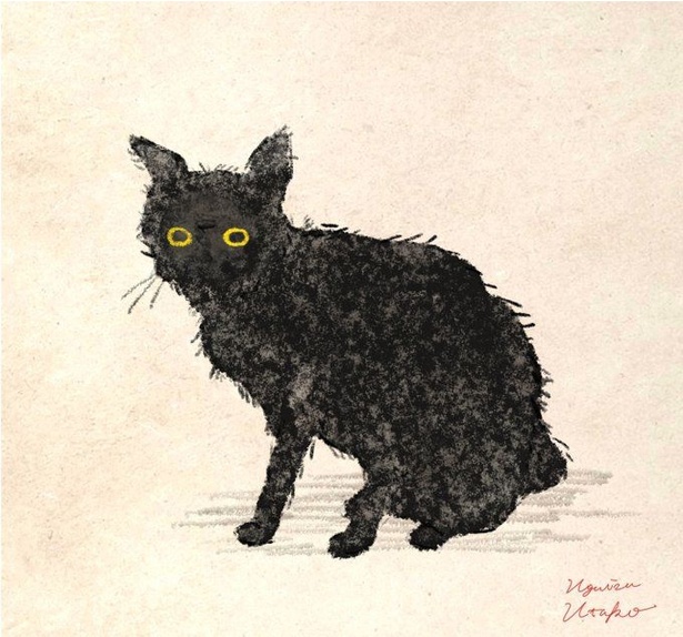 洗いたての黒ネコ様。