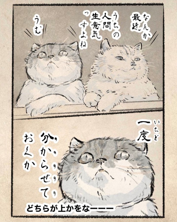 身の程を知れ。