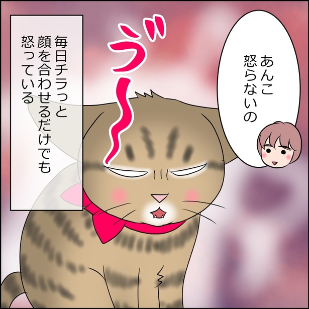 麦を見て怒り出すあんこ 15-2