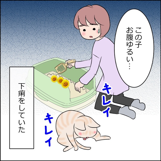 お腹が弱く下痢をする麦 16-2