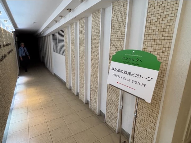 「ほたるの洞窟 ビオトープ」につながる道