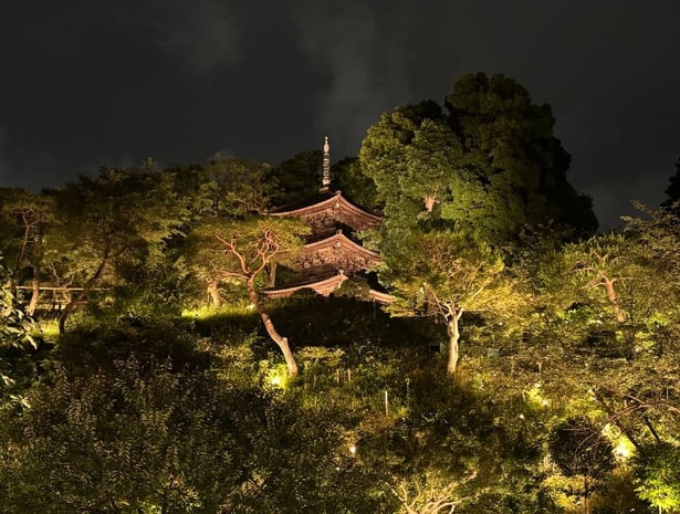 下から見上げた三重塔。雲海に包まれると、より幻想的に見える