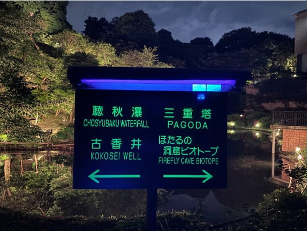 「ほたる沢」から進んで目の前の幽翠池まで来ると、右へ行っても左へ行ってもOK！