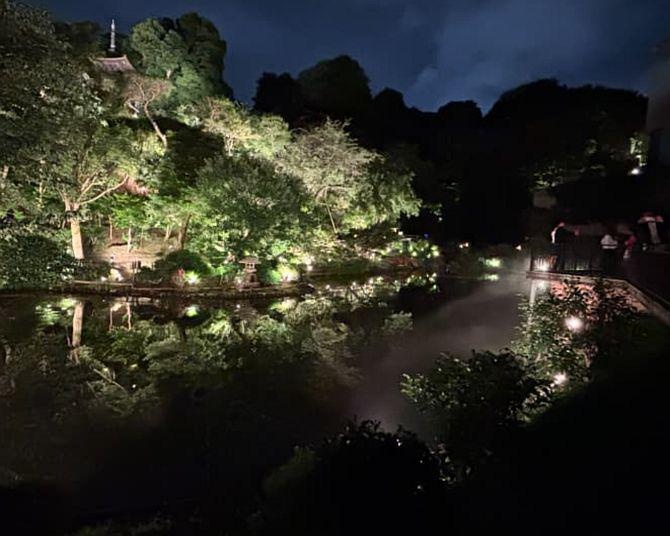 都心で楽しむ初夏の風物詩“蛍”！椿山荘には新観賞スポットも登場