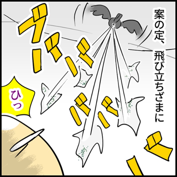 20-4
