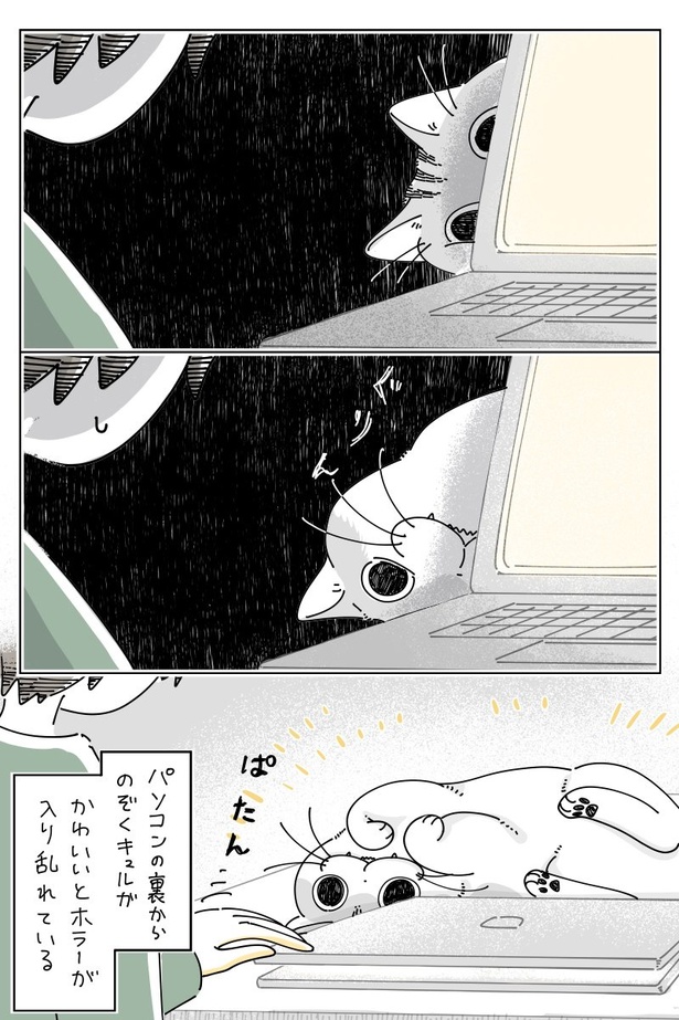 03