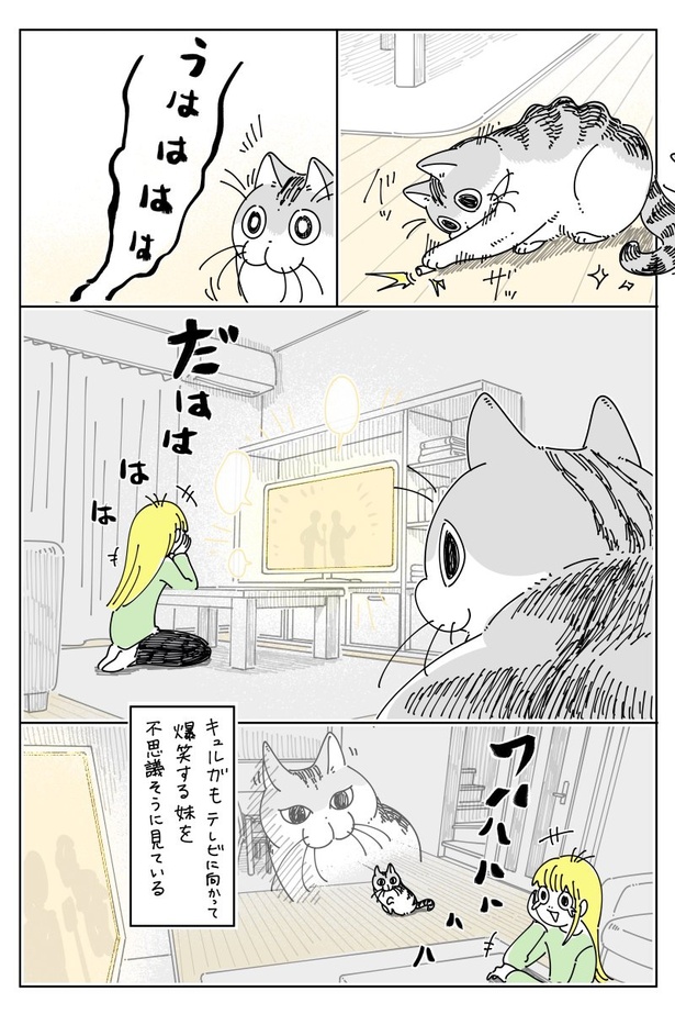 03